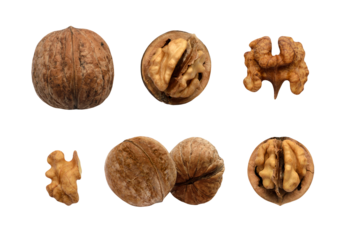 Walnuts set isolated on transparent background. Cut out nut parts png. Whole round fruit, open shell, cracked kernel. Elements for advertising layout design, vegetable oil, raw healthy snack packaging