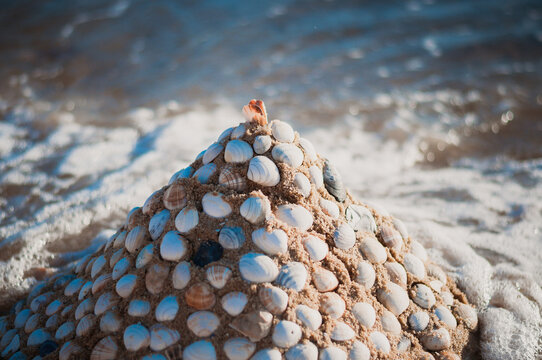 Shell Sculpture, Brighton Beach, Melbourne