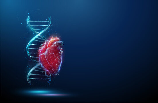 Blue DNA molecule helix with red human heart
