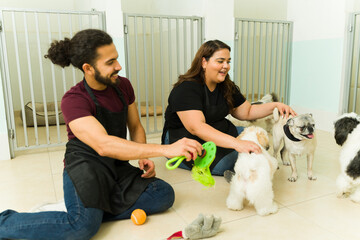 Excited dog daycare workers playing with small dogs - obrazy, fototapety, plakaty
