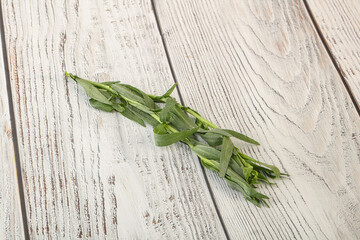 Green tarragon herb spice for cooking