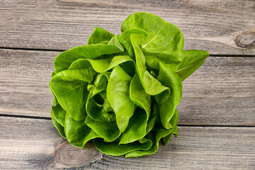 Fototapeta premium Butter lettuce salad green leaves