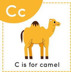 Learning English alphabet for kids. Letter C. Cute cartoon camel.