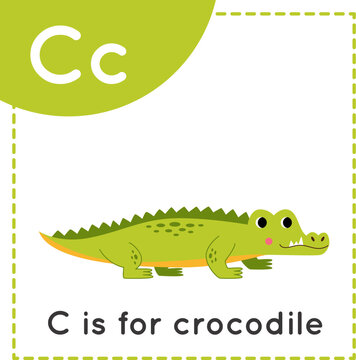 Learning English alphabet for kids. Letter C. Cute cartoon crocodile.
