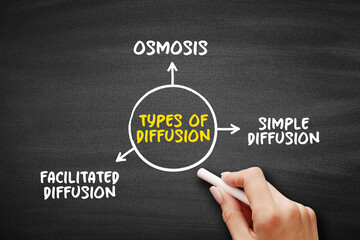 Types of Diffusion is the net movement of anything generally from a region of higher concentration...