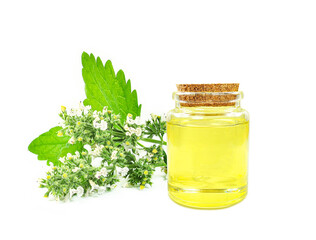 catnip essential oil in a bottle isolated on a white background