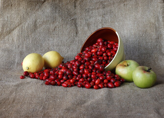 Depicted are apples, lemons and an overturned bowl with red rose hips.