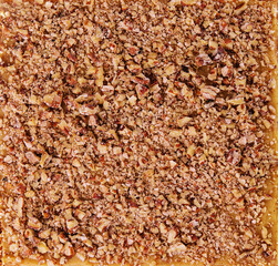Walnut cake, nuts close up