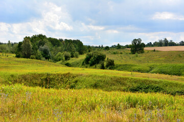 green hills with green grass, green trees and bushes and rainy sky on background copy space 