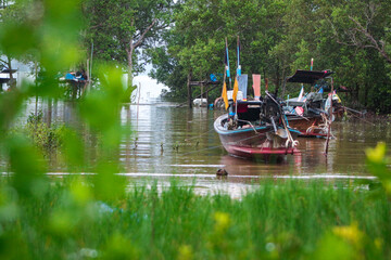 Local fisherman's long-tailed boat is moored along the shore; background is mangrove forests and foreground is green grass and green bushes.Koh yao island ,Thailand.