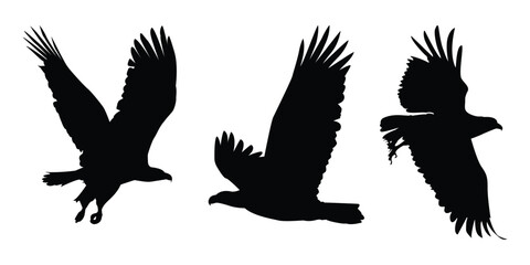 Fototapeta premium Animals Eagle Silhouettes Vector Illustration