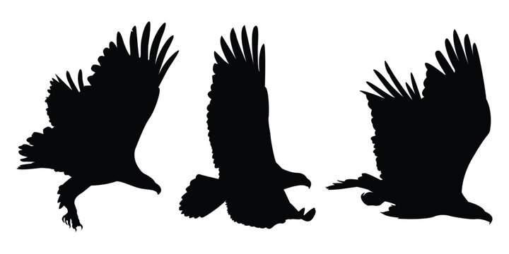 Animals Eagle Silhouettes Vector Illustration