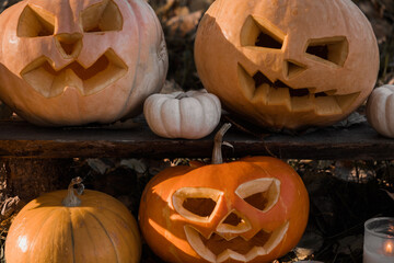 Halloween Pumpkin Head with Carved Scary Smiling Face on Wood Bench Outside. Jack-O-Lantern,...