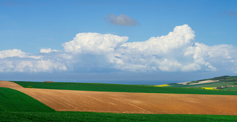 France, Pas de Calais, Fields bordering English Channel