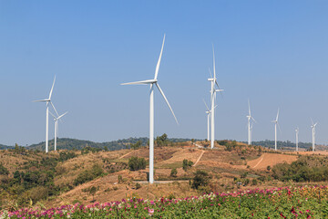 Turbines generating electricity ,from wind power for environmental,Clean energy