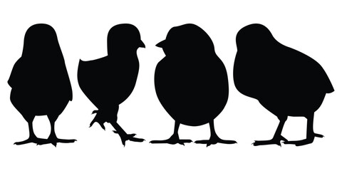 Farm Animal Newly born Hen Silhouette Vector Illustration