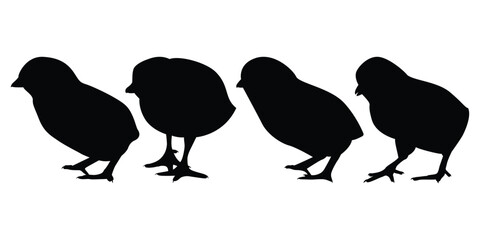 Farm Animal Newly born Hen Silhouette Vector Illustration