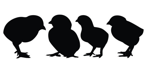 Farm Animal Newly born Hen Silhouette Vector Illustration