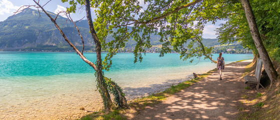 path along the lake Wolfgangsee, tree avenue on the shore, Zwolferhorn mountain in the background,...