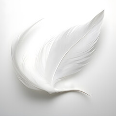 White feather background. Beautiful Soft and Light White Fluffy Feathers. Abstract. Light weight of white feather. Generated AI illustration