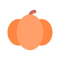 pumpkin flat icon