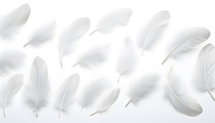 Feather set. feather collection on white background. Light weight of white feather floating. Abstract. Generated AI illustration