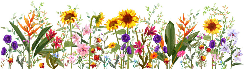 Fototapeta premium Horizontal autumn’s border: sunflower, aster, thistle, gerbera, marigold, daisy, heliconia flowers on white background. Digital draw, realistic illustration in watercolor style, panoramic view, vector