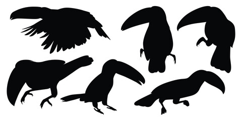 Animal Bird Toucan Silhouettes vector illustration