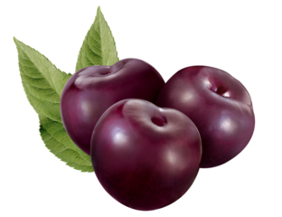 composição de ameixas vermelhas maduras isolado em fundo transparente - ameixa roxa orgânica 