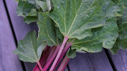 Bunch of fresh green garden rhubarb vegetable on the wooden surface