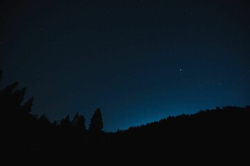 Aerial view of the beautiful starry sky and the silhouettes of trees