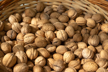 Basket full of organic unshelled walnuts, harvest season concept. Closeup view.