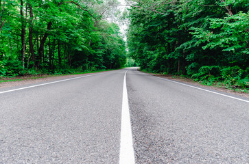new road in the forest without cars