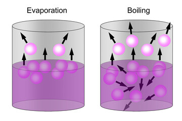 Evaporation and boiling point of liquids