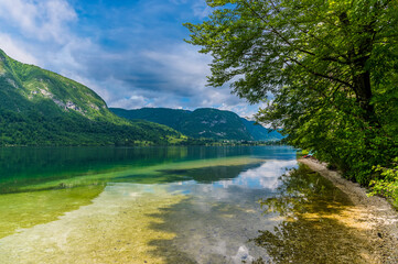 Fototapeta na wymiar A view past trees from the southern shore across lake Bohinj, Slovenia in summertime