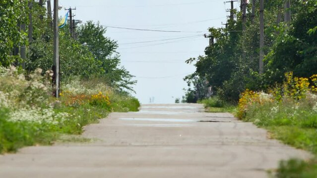 Mirage or heat waves over road surrounded by green trees in countryside. Extreme hot weather with wind. Video was filmed with soft focus due to heat haze.