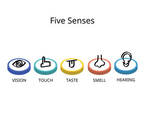 five senses for vision, hearing, touch, smell, and taste