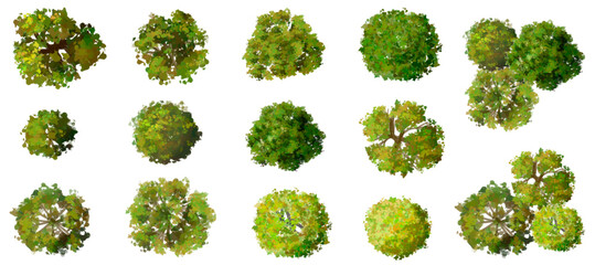 set of green leaves, Vector set of Top view green tree for outdoor plan or map and architecture drawing, elements for environment and garden,botanical elements ,blooming flowers in spring