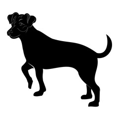 illustration of a dog