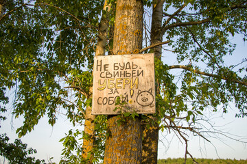 Beautiful calm evening near the village pond