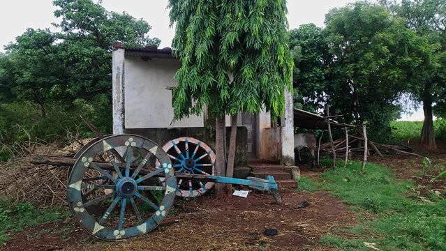 The old-fashioned bullock cart is isolated in front of a barn on farmland