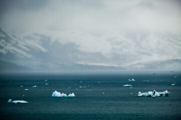 Cruise to Hubbard Glacier Bay in Alaska with floating ice bergs and drift ice floes on ocean water...