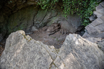 Carved wooden dragon statue by the rock.
