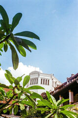 tree in front of a building