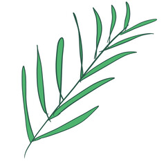 green grass isolated