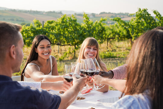 Group of young multiracial people cheering with red wine outdoor - Diverse friends having fun together during pic nic inside wineyard during summer time