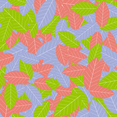 color  leaves