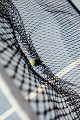 Tennisball liegt im Tennisnetz