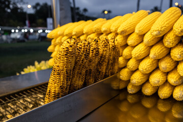 A street vendor roasts corn on a charcoal grill in Istanbul, Turkey. Misir, a popular Turkish...