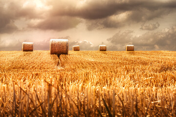 Feld von einem Bauern mit Strohballen und viel Stroh bei düsterem Himmel mit vielen Wolken und...